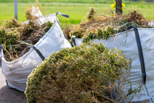 Trusted Kurtistown, HI Junk Removal Experts
