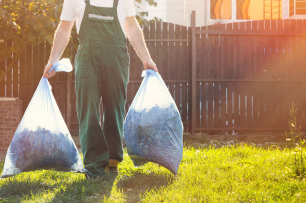 Best Dumpster Rental Services  in Kurtistown, HI